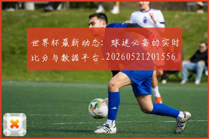 世界杯最新动态：球迷必备的实时比分与数据平台_20260521201556